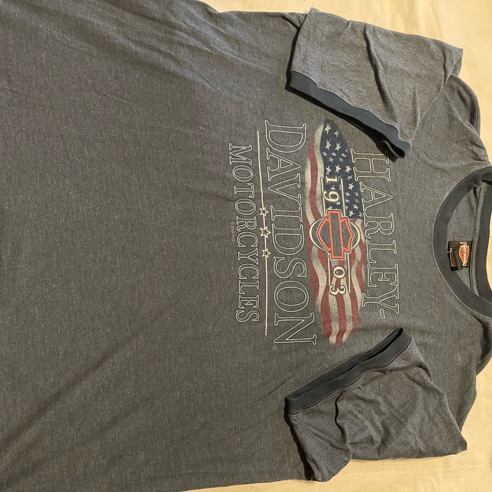 Harley-Davidson Gray Graphic Men's T-Shirt